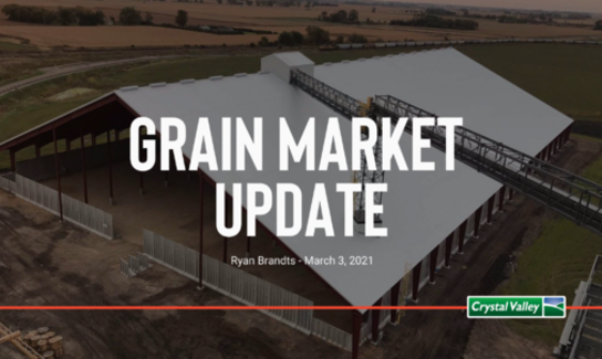 Grain Update
